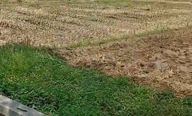 Tanah kawasan industri Pantura tegal