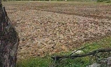 Tanah kawasan industri Pantura tegal