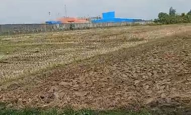 Tanah kawasan industri Pantura tegal