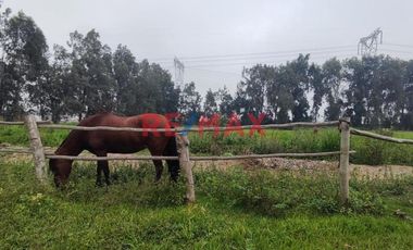 Excelente Inversión- Venta De Terreno En Cieneguilla (1 Hectarea)