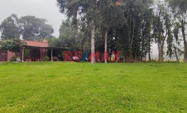Excelente Inversión- Venta De Terreno En Cieneguilla (1 Hectarea)