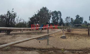 Excelente Inversión- Venta De Terreno En Cieneguilla (1 Hectarea)