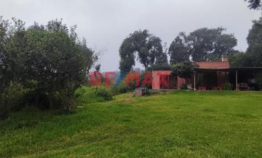 Excelente Inversión- Venta De Terreno En Cieneguilla (1 Hectarea)