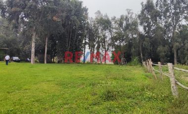 Excelente Inversión- Venta De Terreno En Cieneguilla (1 Hectarea)