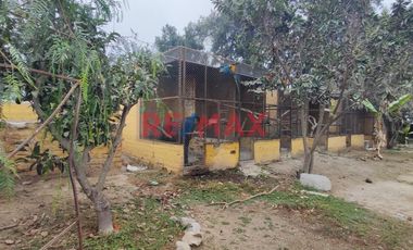 Excelente Inversión- Venta De Terreno En Cieneguilla (1 Hectarea)
