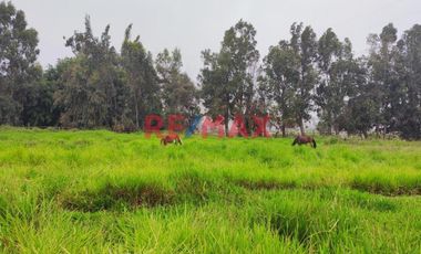 Excelente Inversión- Venta De Terreno En Cieneguilla (1 Hectarea)
