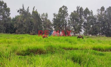Excelente Inversión- Venta De Terreno En Cieneguilla (1 Hectarea)