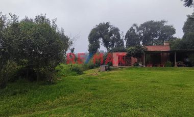 Excelente Inversión- Venta De Terreno En Cieneguilla (1 Hectarea)