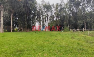 Excelente Inversión- Venta De Terreno En Cieneguilla (1 Hectarea)