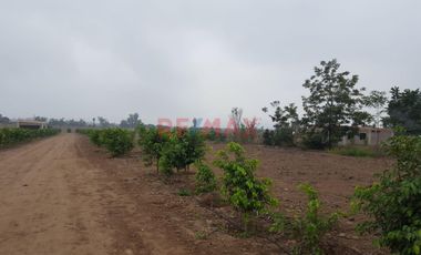 Se Vende Terreno Para Casa De Campo Dentro De Condominio