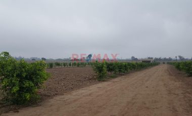 Se Vende Terreno Para Casa De Campo Dentro De Condominio