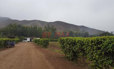 Se Vende Terreno Para Casa De Campo Dentro De Condominio