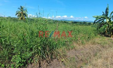 Terreno Rural Cerca A Tarapoto