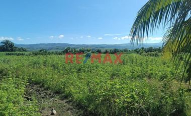 Terreno Rural Cerca A Tarapoto