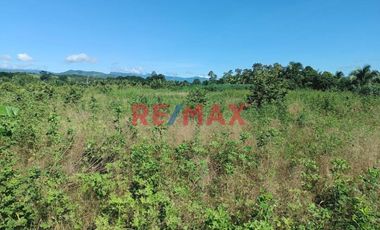 Terreno Rural Cerca A Tarapoto