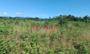 Terreno Rural Cerca A Tarapoto