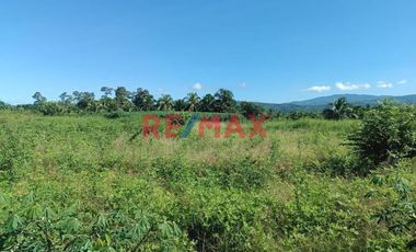 Terreno Rural Cerca A Tarapoto