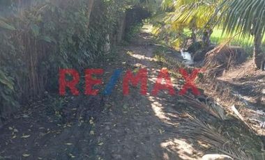 Terreno Rural Cerca A Tarapoto