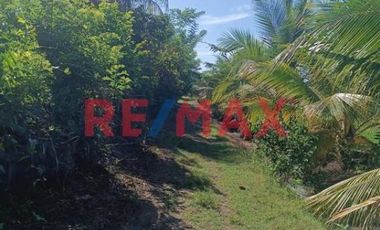 Terreno Rural Cerca A Tarapoto