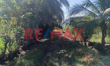 Terreno Rural Cerca A Tarapoto