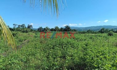 Terreno Rural Cerca A Tarapoto