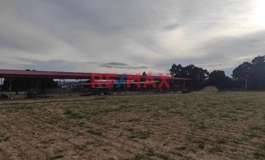 Terreno Prime Para Inversionistas Visionarios