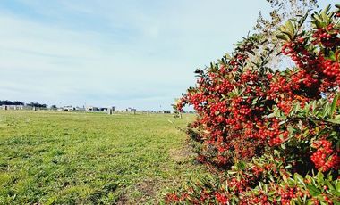 Terreno en  venta en La Cercania -Santa Clara del Mar