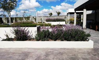 ALTURA TOWER, Celaya Gto. La Primera Torre con Áreas Comunes en Celaya