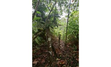 HERMOSO TERRENO EN SAN ROQUE DE CUMBAZA