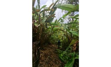 HERMOSO TERRENO EN SAN ROQUE DE CUMBAZA