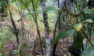 HERMOSO TERRENO EN SAN ROQUE DE CUMBAZA