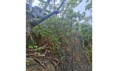 HERMOSO TERRENO EN SAN ROQUE DE CUMBAZA