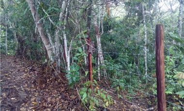 HERMOSO TERRENO EN SAN ROQUE DE CUMBAZA