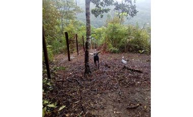 HERMOSO TERRENO EN SAN ROQUE DE CUMBAZA