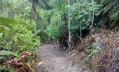 HERMOSO TERRENO EN SAN ROQUE DE CUMBAZA