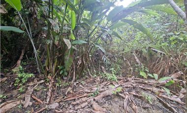 HERMOSO TERRENO EN SAN ROQUE DE CUMBAZA