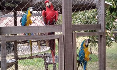Excelente Lote en Lagunamar Poblado Campestre Baranoa