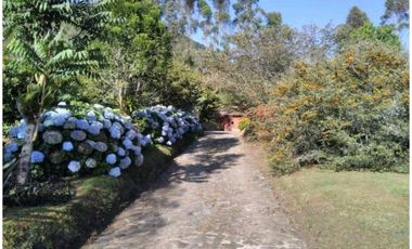 Hermosa casa campestre en la Ceja Antioquia 10.000 m2