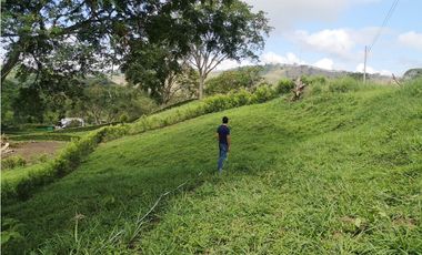 Venta de Lote Campestre en Conjunto Makadamia – Casas Campestres