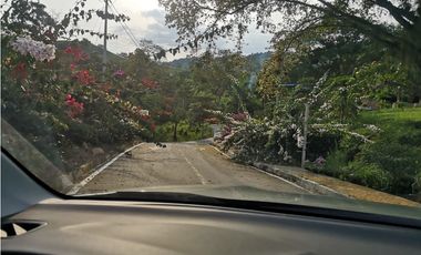 Venta de Lote Campestre en Conjunto Makadamia – Casas Campestres