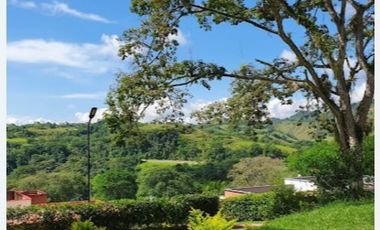 Venta de Lote Campestre en Conjunto Makadamia – Casas Campestres