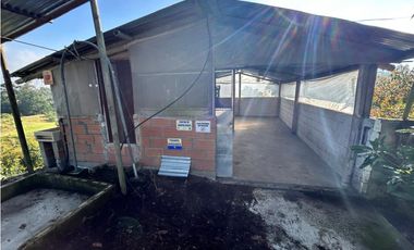 Finca con Cultivo de Aguacates, Vereda Cimarronas, Marinilla