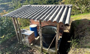 Finca con Cultivo de Aguacates, Vereda Cimarronas, Marinilla