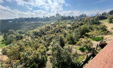 Finca con Cultivo de Aguacates, Vereda Cimarronas, Marinilla