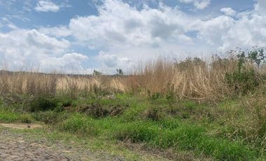 OPORTUNIDAD DE INVERSIÓN EN ZAPOTLANEJO LA JOYA GRANDE