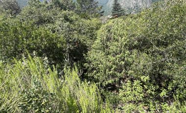 Terreno Residencial Campestre en El Jonuco – Santa Catarina, N.L.