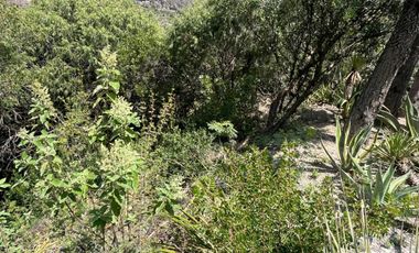 Terreno Residencial Campestre en El Jonuco – Santa Catarina, N.L.