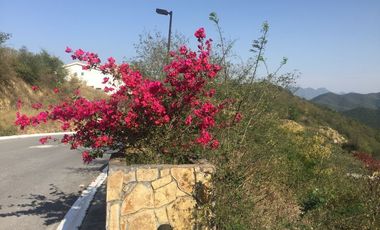 Terreno en Venta Privada San Michelle L9