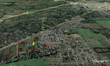 Fracción de Campo en Venta - Con Proyecto de Loteo Abierto - General Rodríguez