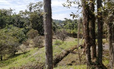 TERRENO EN VENTA EN SHELL. PASTAZA.
